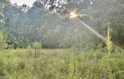 3508 Gilliland Creek Road, Huntington, TX 75949