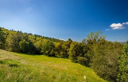 9 Valley Oak Drive, Ahwahnee, CA 93601