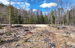 303 Common Road, Dixfield, ME 04224