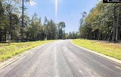 1029 Refuge Place, Chapin, SC 29036