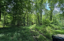 Lot 2 Stroud Lane, Centertown, KY 42328