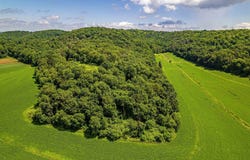 80 Acres 020-1133-000, 020-1134-0000, Richland Center, WI 53581