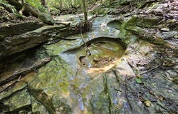 65 Acres Plainview Road, Anderson, MO 64831