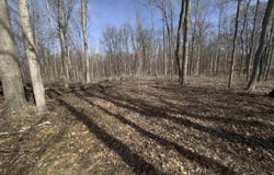 0 Lindsey Road, Milton, IN 47357