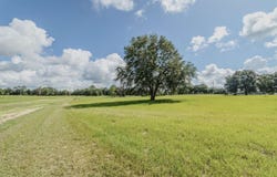 950 SW JORDAN STREET, Fort White, FL 32038