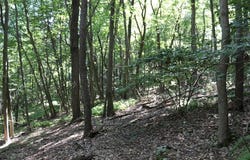 Lot 319 Ridge Run, Claysburg, PA 16625