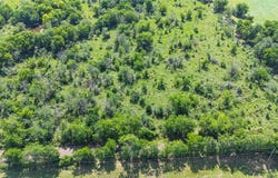 2446 County Road 4586, Sulphur Springs, TX 75482