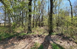 0 S County Road 268, Neelyville, MO 63954
