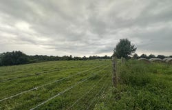 22308 GERMANNA HWY, STEVENSBURG, VA 22741