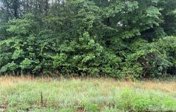141 Sundance Circle, Statesville, NC 28625