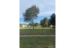 Cedar Street lot: 1, Edna, TX 77957