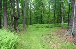 Neiltown Road, Pleasantville, PA 16341