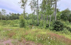 Unit 4 Greenway, Portage, MI 49931