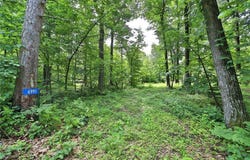 6991 Shadow Lane, Lake Edward Twp, MN 56401