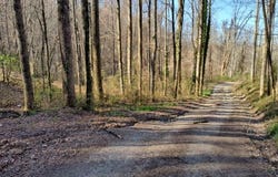 Arnold Hill Rd, Sylva, NC 28779