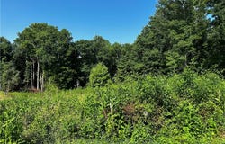 Tbd Walker Lane, Millers Creek, NC 28651