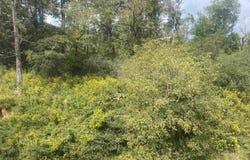 183 Walhalla Highway, Pickens, SC 29685-0000