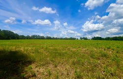 0 North County Rd. 75, Ashford, AL 36312