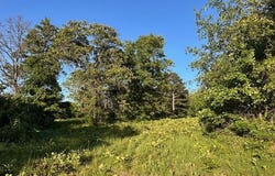 1618 County Road 2950, Mountain View, MO 65548