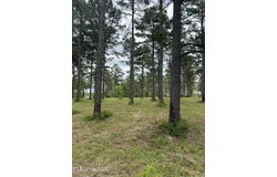 Hidden Pines Lane, Flora, MS 39071