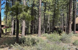 546 Pleasant Valley Road, Markleeville, CA 96120
