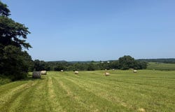 826 Lone Star Rd, Marion, KY 42064