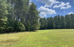 0 Sandy Springs Road, Pelzer, SC 29669