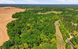 Hilton Trail, Baker, FL 32531