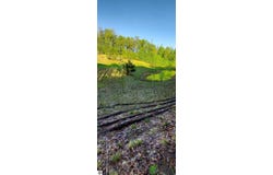 271 and 272 Robinson Ridge, Bellaire, MI 49615