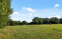 Tbd County Road 4227, Rhome, TX 76078