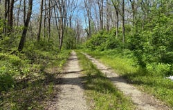 0 N Patterson Rd, Brownsville, IN 47325