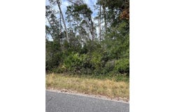 FISHERMANS ROAD, PAISLEY, FL 32767