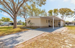 317 LAKEVIEW DRIVE, OSTEEN, FL 32764