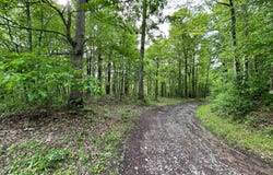 0 Oliver Lipscomb, Aurora, WV 26705