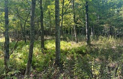 WERKHEISER Lane, Stroudsburg, PA 18360