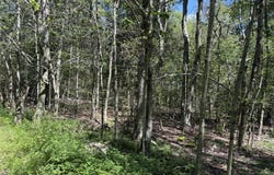 20 Wildbrooke Drive, Newfoundland, PA 18445