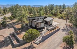 176 Bear Cub Drive, Ridgway, CO 81432