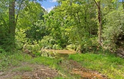 Tbd St Delight (Tracts 11 & 12) Road, Paige, TX 78659