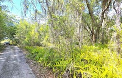 904 Viburnum Drive, Sebring, FL 33875