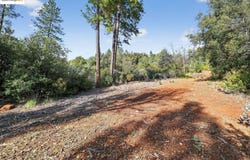 4544 Sheep Ranch RD, Murphys, CA 95247