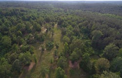 TBD-0 Guyton Loop Rd, West Monroe, LA 71292