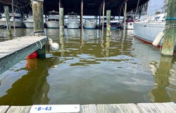 RIVERSIDE DR #B43, GALESVILLE, MD 20765