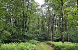 293 Kimberly Jo Lane, Marienville, PA 16239