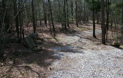 Lot 5 Blackberry Bend, Elberton, GA 30635