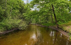 8415 W Workman Road, Lake City, MI 49651