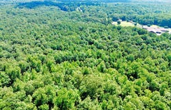 0 Highway 195, Double Springs, AL 35503