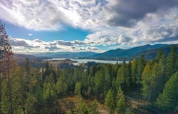 320 Towering Pines Drive (5 Ac), Sagle, ID 83860