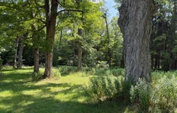 00 Red Mill Road, Mount Jewett, PA 16740