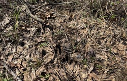 N Circle Road, Lexington, MS 39095