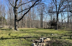 22094 State Highway P, Ava, MO 65608